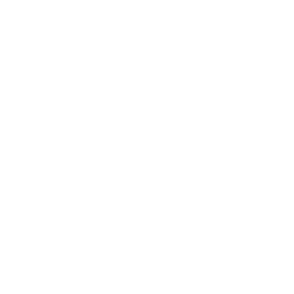 RaziLeasing logo