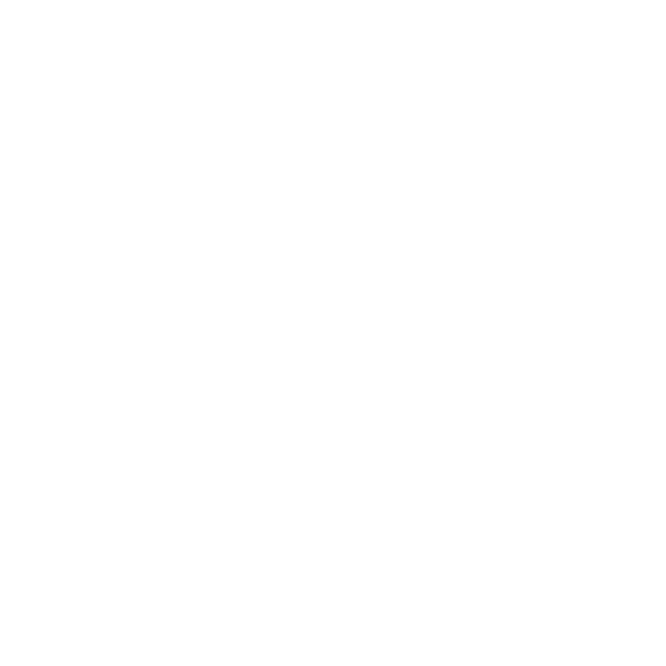 RaziLeasing logo